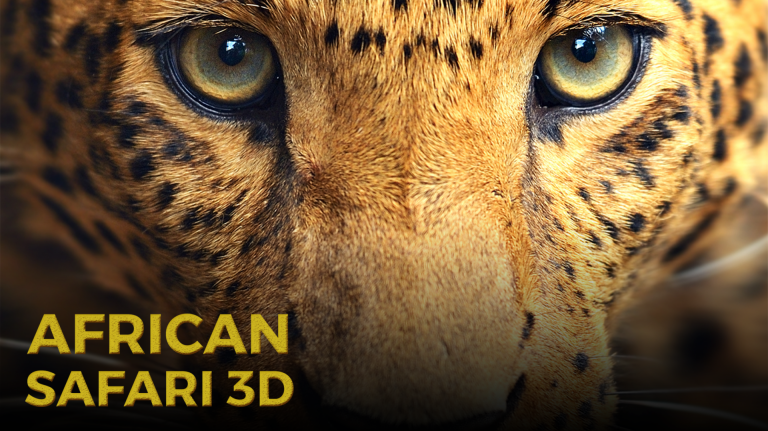 African Safari 3D on Showmax