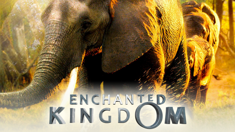 Enchanted Kingdom 3D on Showmax