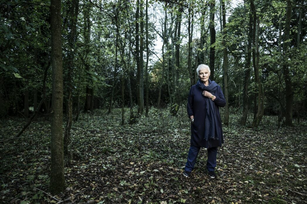 Judi Dench on her passion for trees
