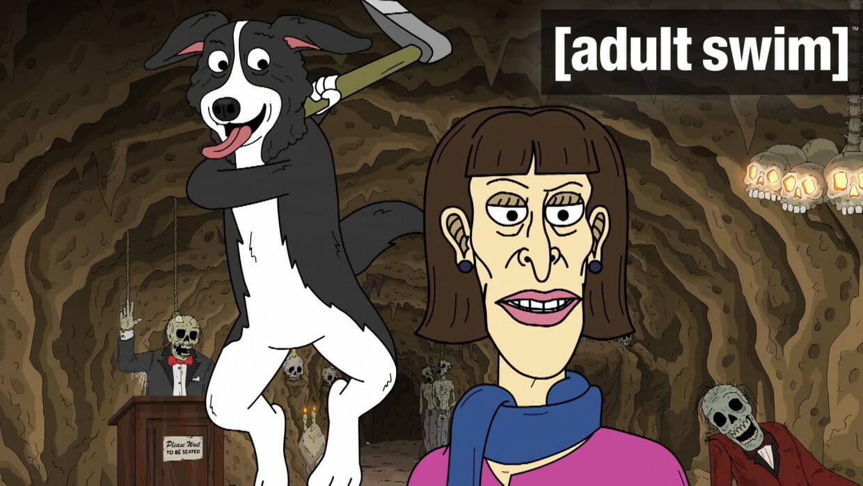 Mr. Pickles, Adult Swim