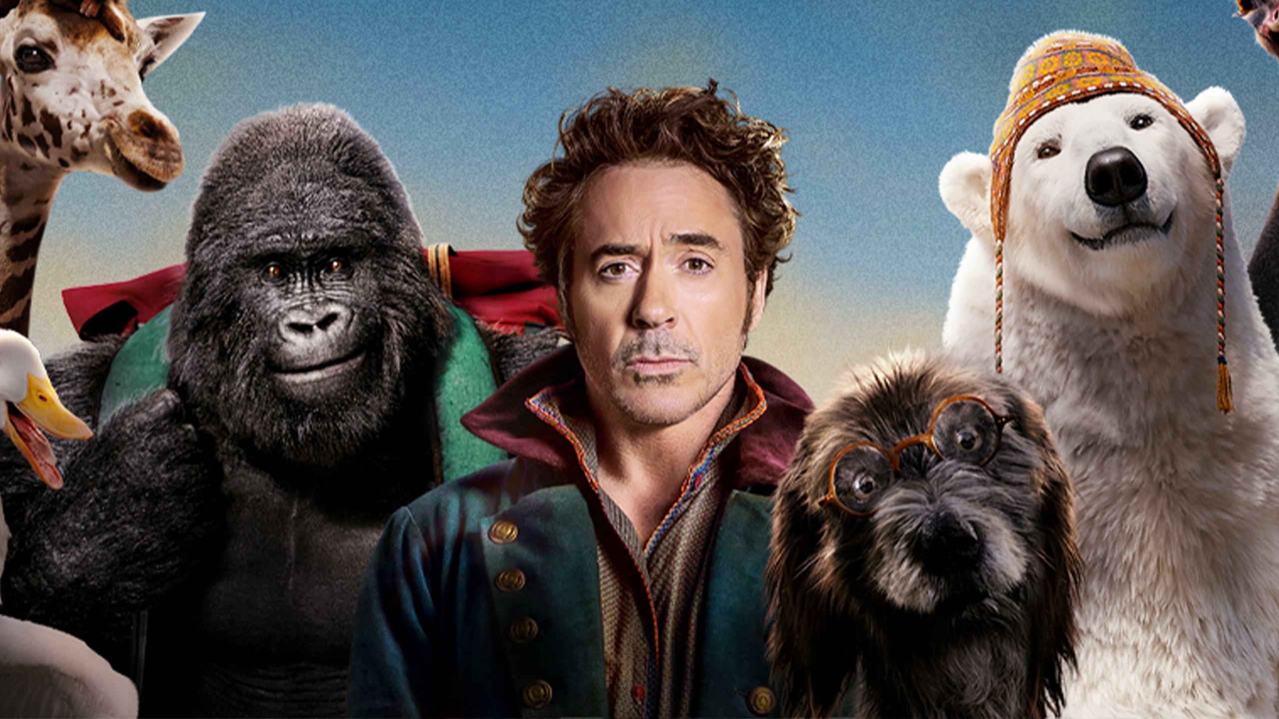 Robert Downey Jr is the famous vet in Dolittle (2020)