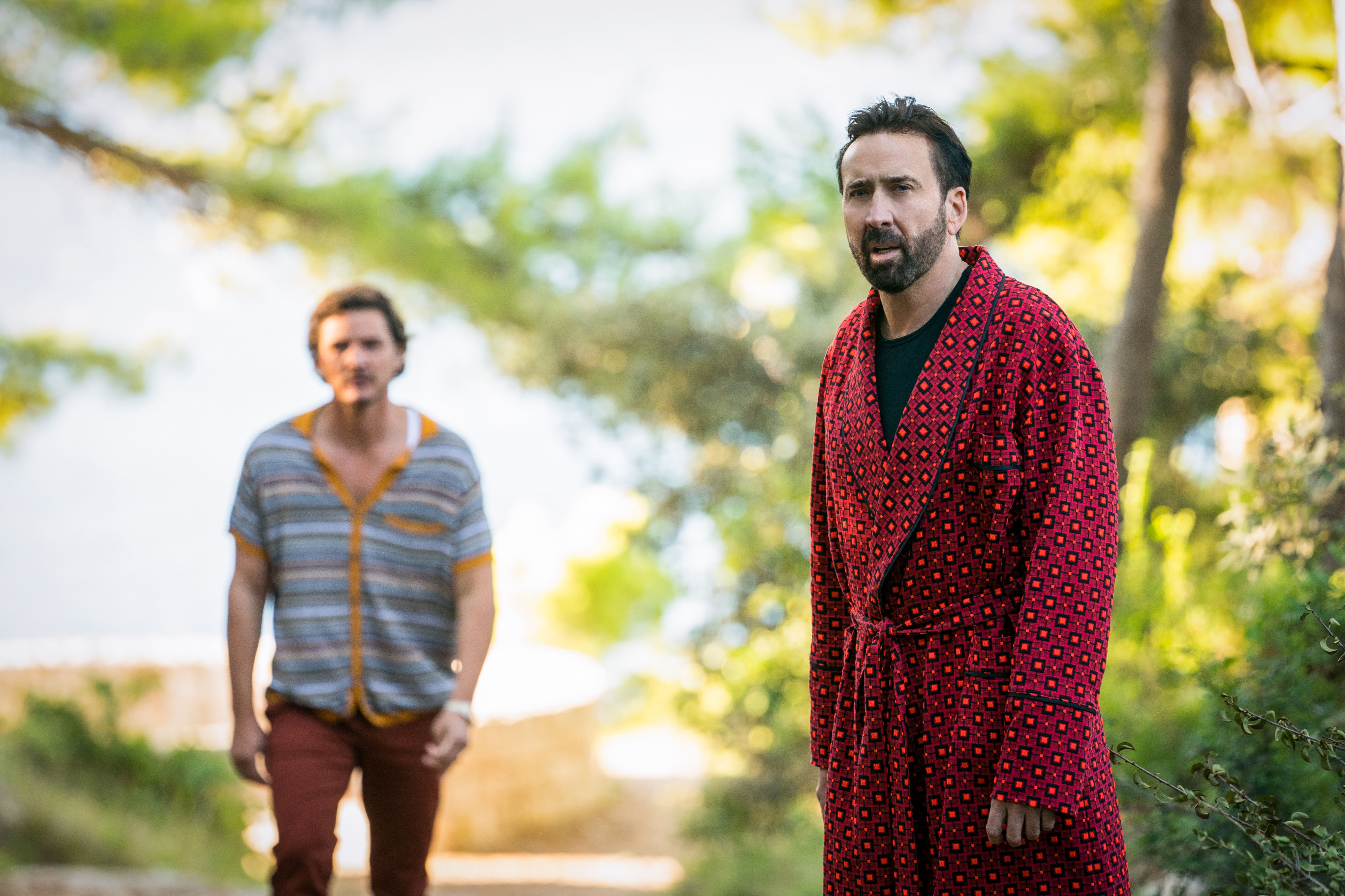 Nicolas Cage stars alongside Pedro Pascal in The Unbearable Weight of Massive Talent