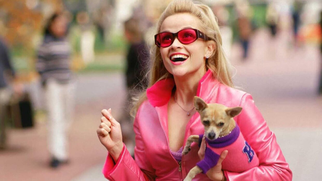 Legally Blonde is on Showmax