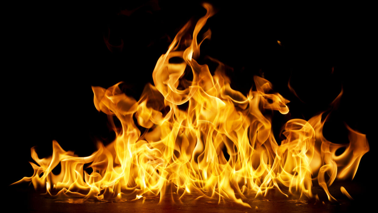 The Roast of Helen Zille vs The Mommy Club reunion moments