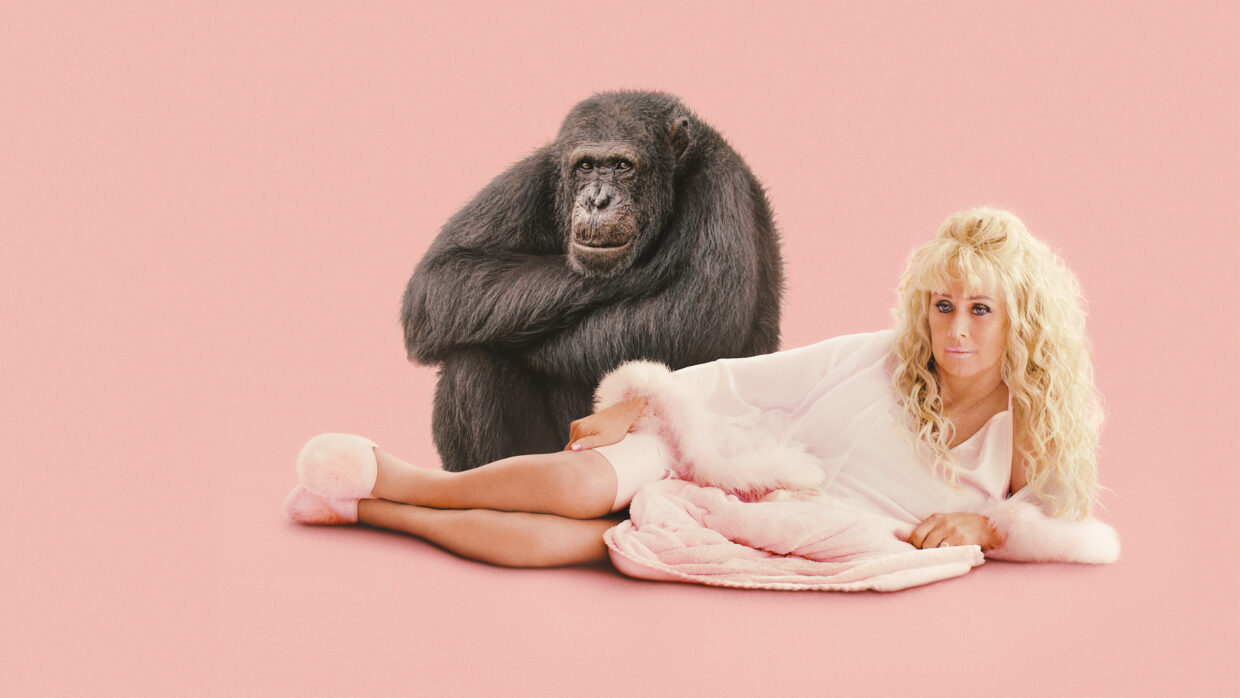 Chimp Crazy S1