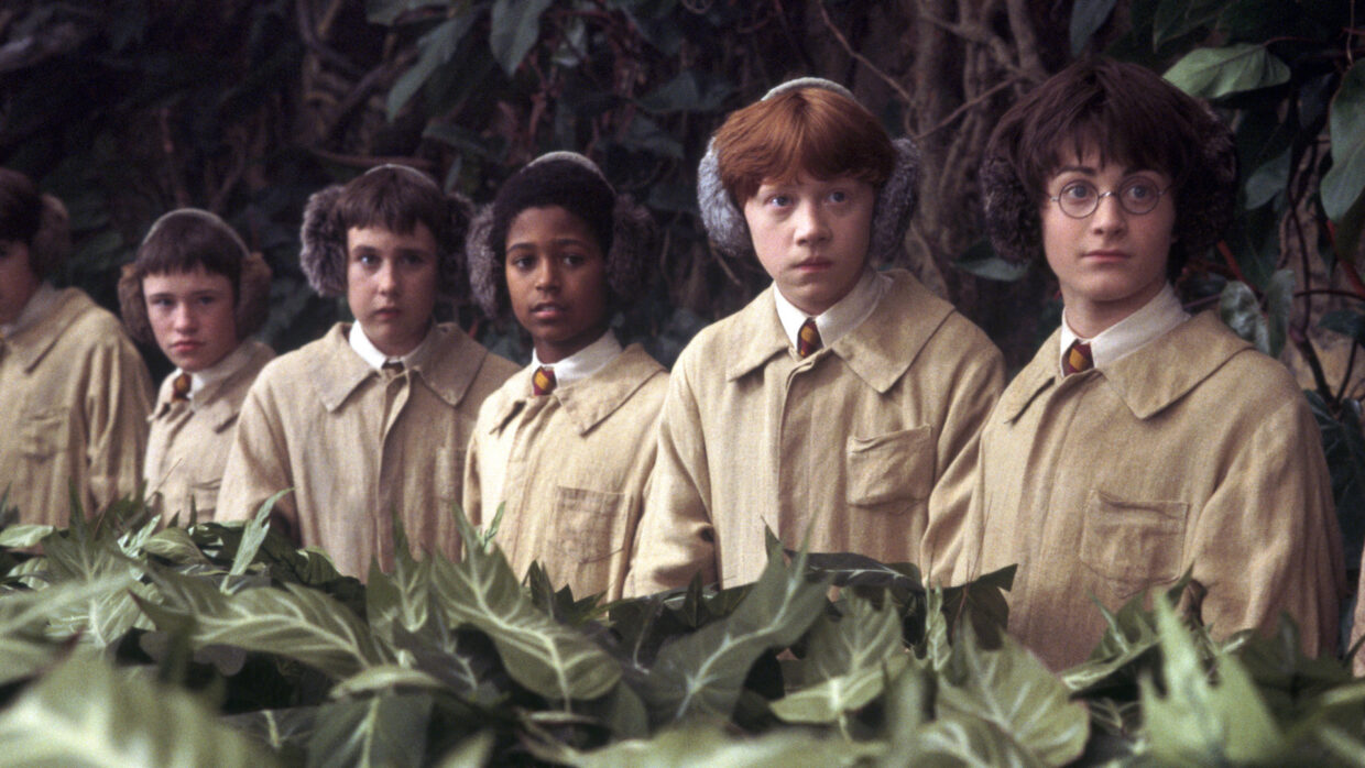 Harry Potter and the-Chamber of Secrets on Showmax