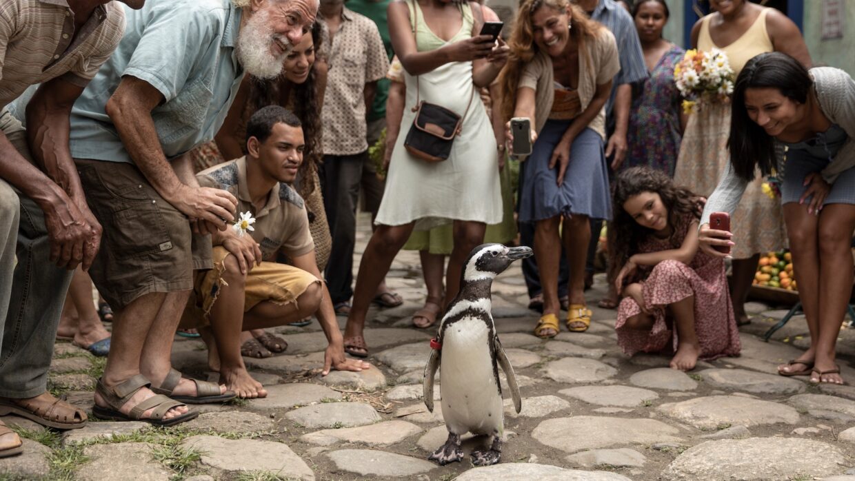Celebrate World Oceans Day with My Penguin Friend